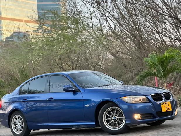 BMW 3 Series 2010 Blue