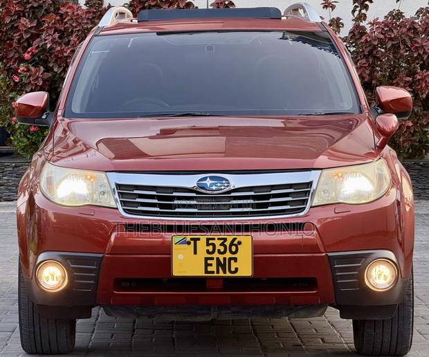 Subaru Forester 2009 Maroon