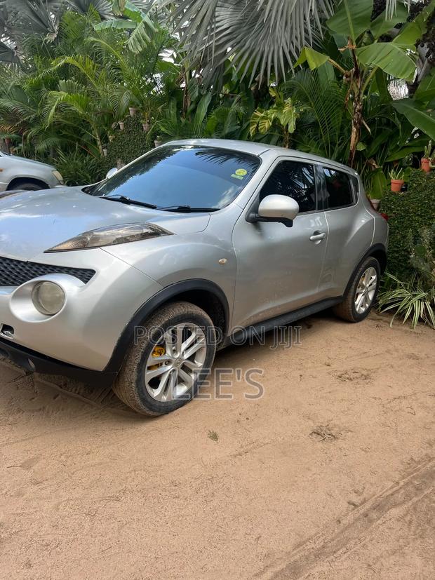 Nissan Juke 2011 Silver