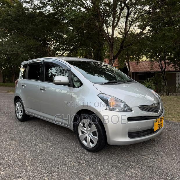 Toyota Ractis 2009 Silver
