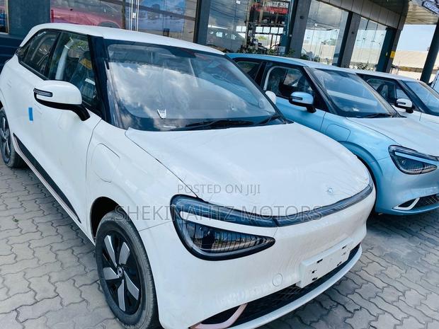 New Dongfeng Z9 2026 White