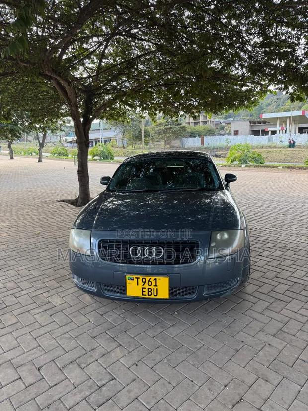 Audi TT 2005 Gray