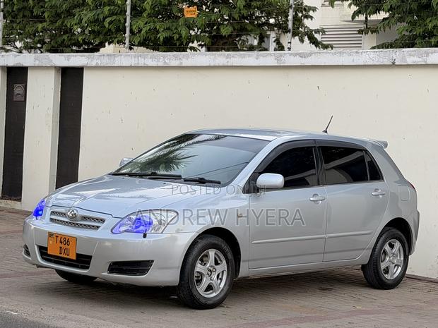 Toyota Allex 2005 Silver
