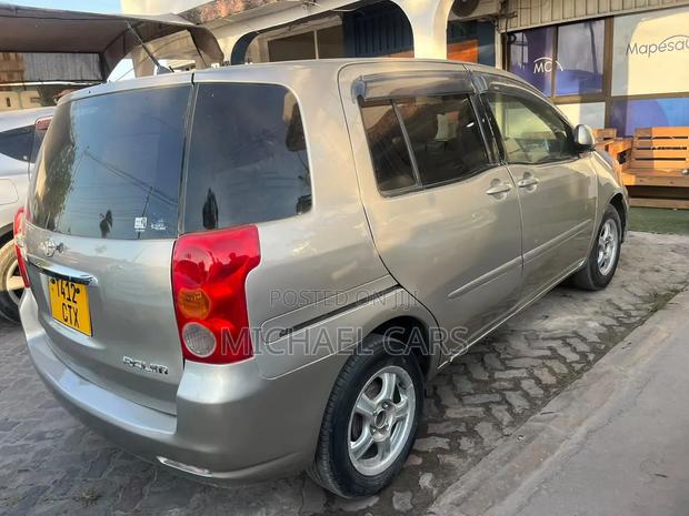 Toyota Raum 2005 Gray