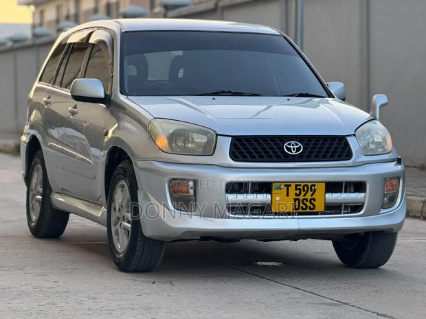 Toyota RAV4 2004 Silver