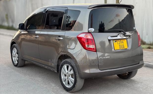 Toyota Ractis 2006 Gray