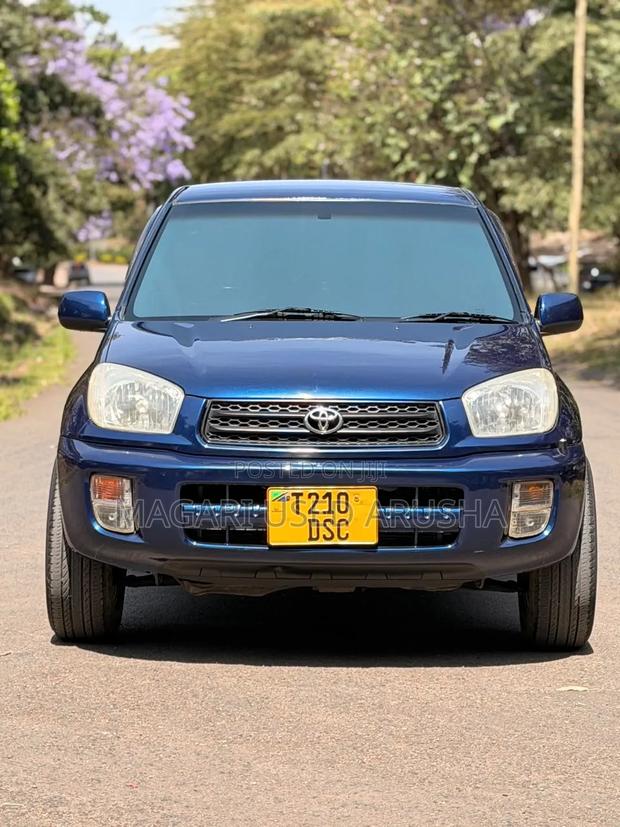 Toyota RAV4 2004 Blue