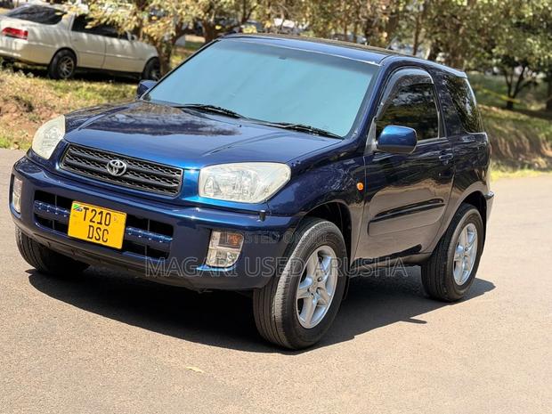 Toyota RAV4 2004 Blue
