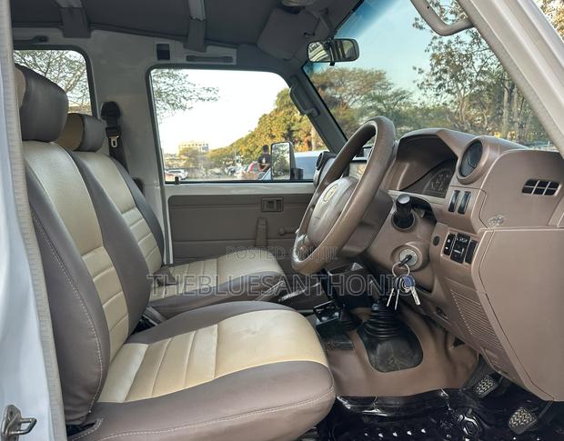 Toyota Land Cruiser 2010 Pearl