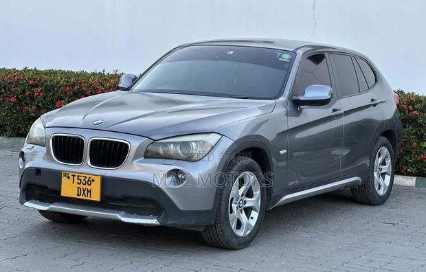 BMW X1 2011 Gray