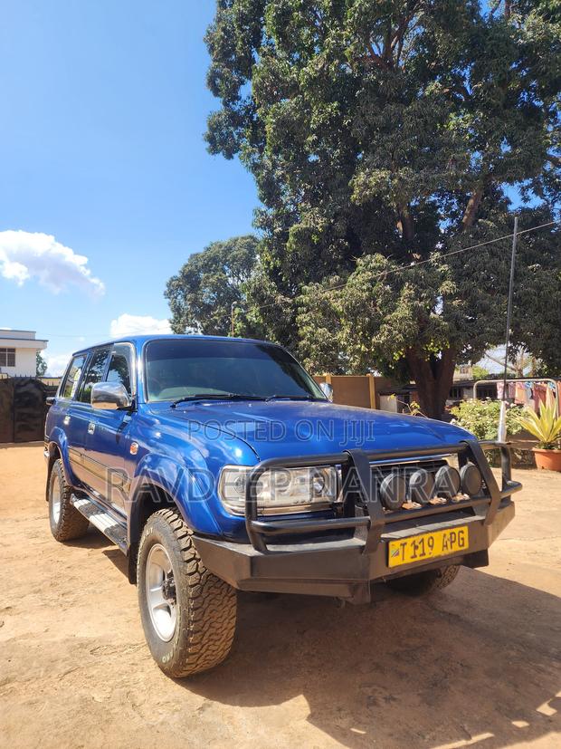 Toyota Land Cruiser 80 Wagon 4.2 D 1993 Blue