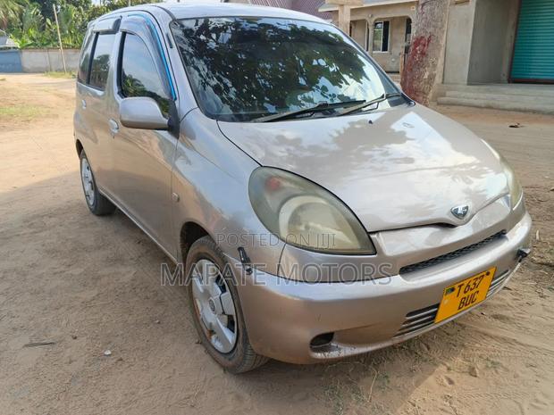 Toyota Fun Cargo 2004 Gray
