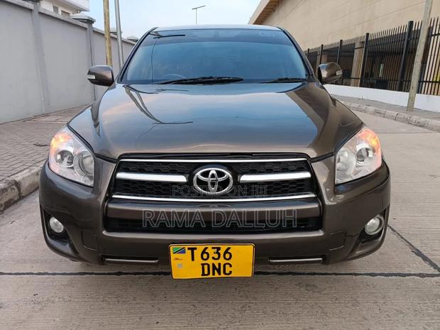 Toyota RAV4 2010 Gray