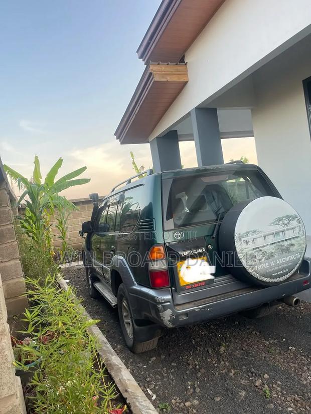 Toyota Land Cruiser Prado 2004 Gray