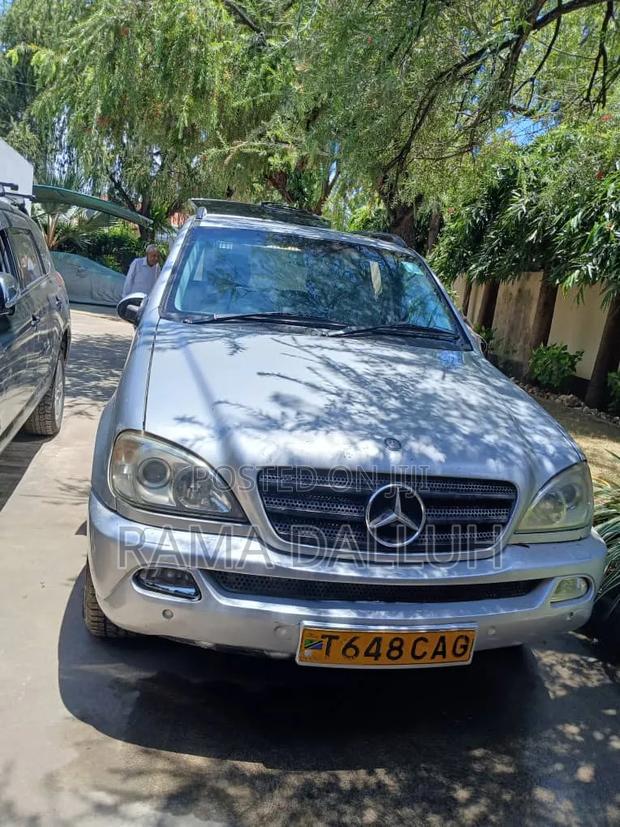 Mercedes-Benz M Class 2004 Silver