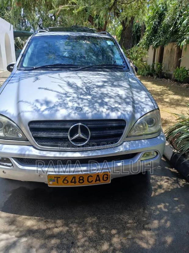 Mercedes-Benz M Class 2004 Silver