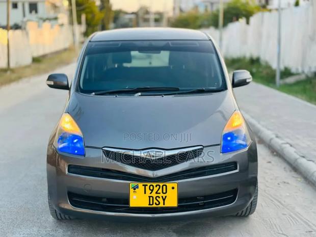 Toyota Ractis 2006 Gray
