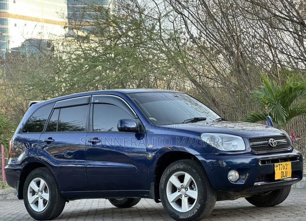Toyota RAV4 2004 Blue