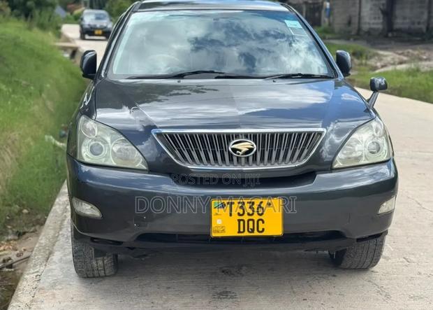 Toyota Harrier 2003 Gray