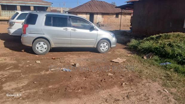 Toyota Raum 2004 Gray