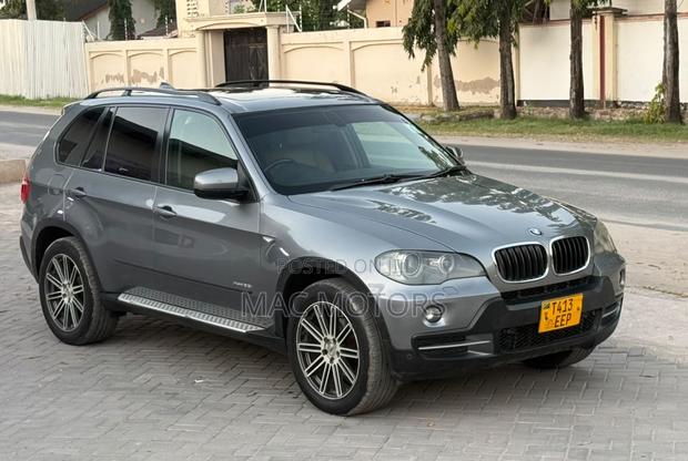 BMW X5 xDrive30i AWD (3.0L 6cyl 6A) 2010 Gray