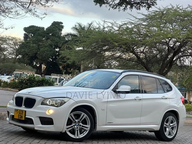 BMW X1 2011 Pearl