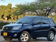 Toyota RAV4 2004 Blue for sale