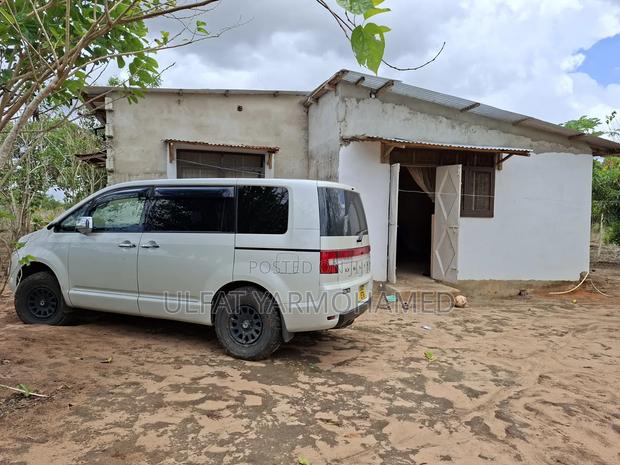 Mitsubishi Delica D:5 2009 Pearl