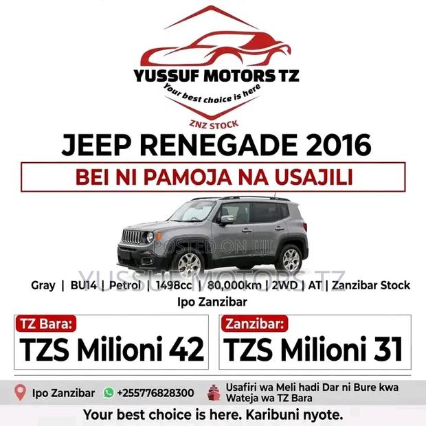 Jeep Renegade 2016 Gray