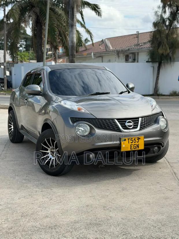 Nissan Juke 2011 Gray