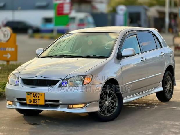 Toyota Allex 2002 Silver