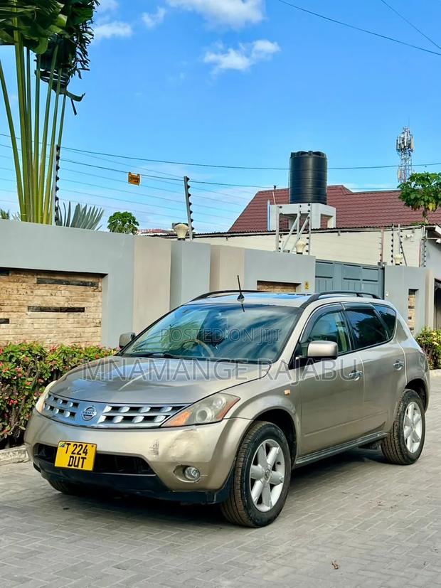 Nissan Murano 2005 Gold