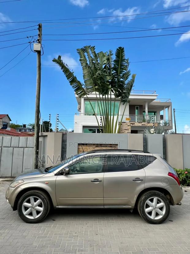 Nissan Murano 2005 Gold
