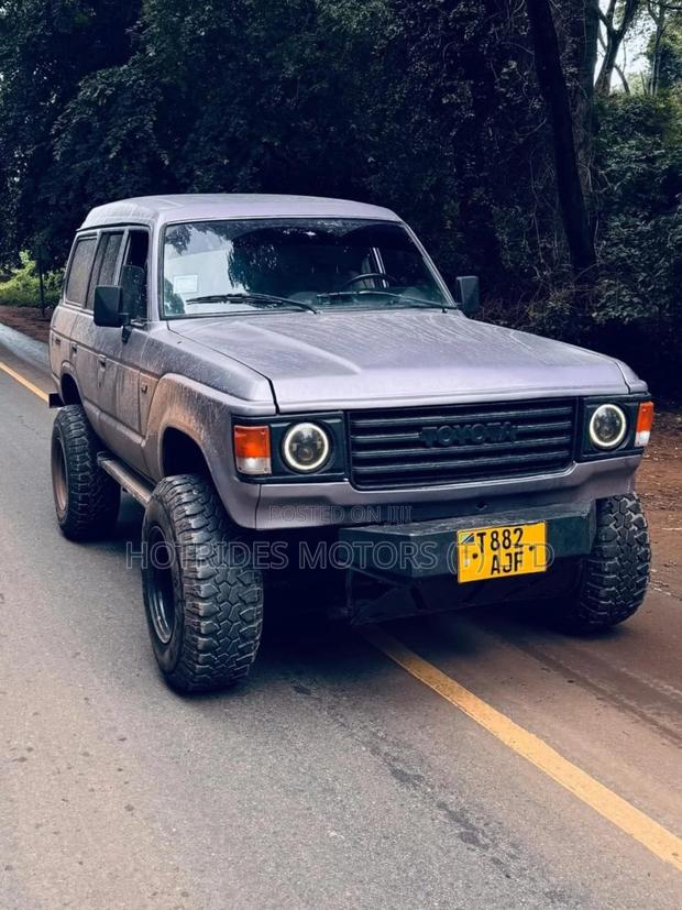 Toyota Land Cruiser Wagon 1983 Pink