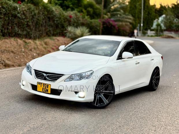 Toyota Mark X 2011 Pearl
