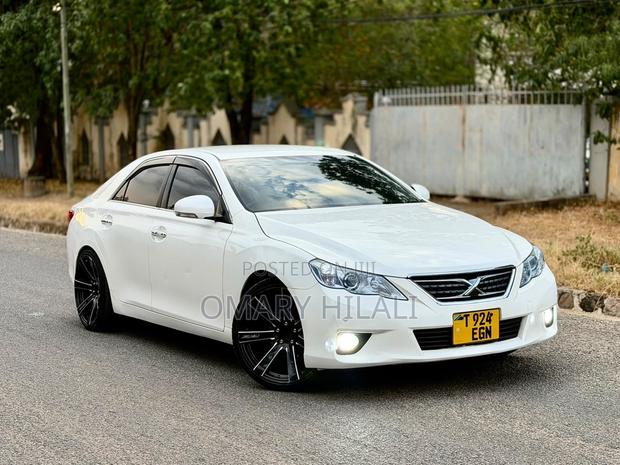 Toyota Mark X 2011 Pearl