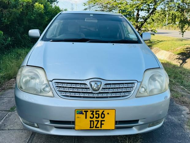 Toyota Allex 2005 Silver