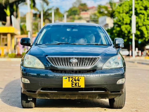 Toyota Harrier 2006 Gray