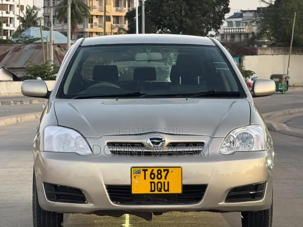 Toyota Allex 2003 Silver