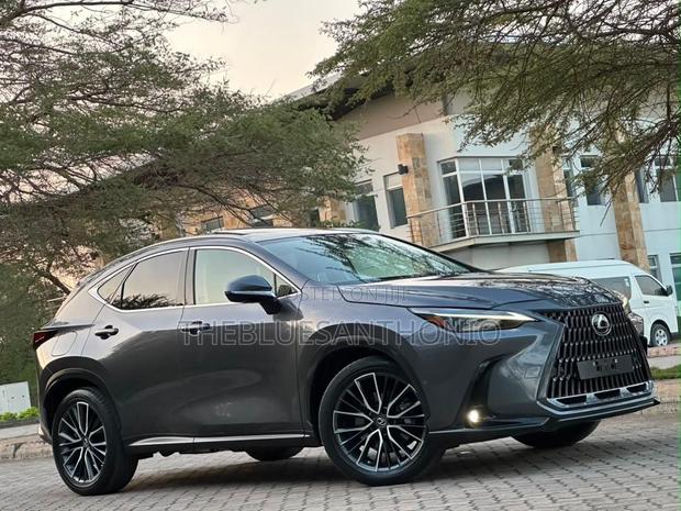 Lexus NX 2022 Gray