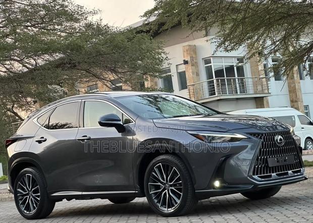 Lexus NX 2022 Gray