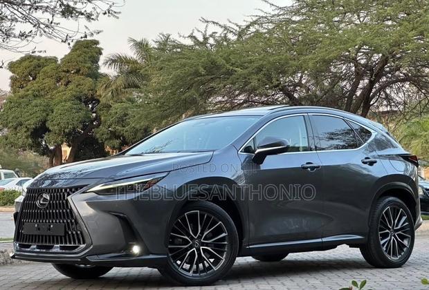 Lexus NX 2022 Gray