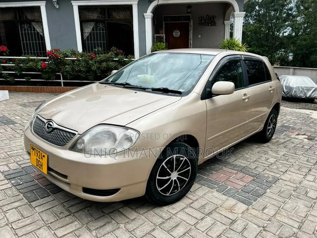Toyota Corolla RunX 2002 Beige