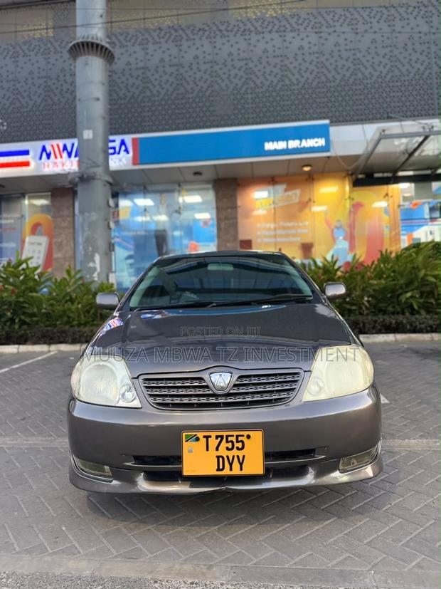 Toyota Allex 2005 Gray