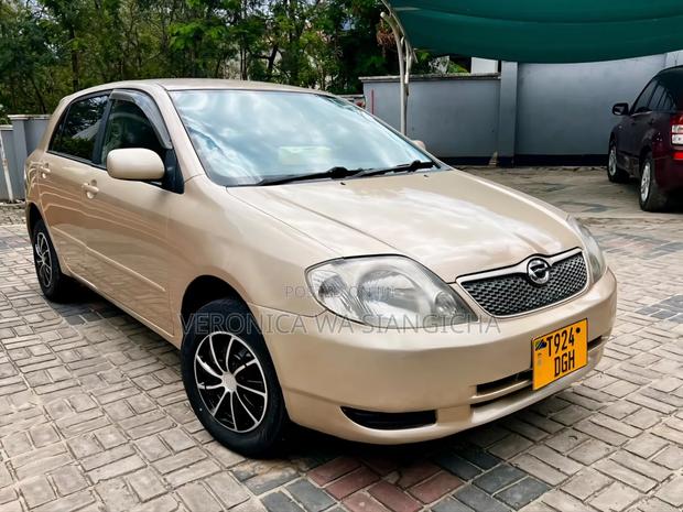 Toyota Corolla RunX 2002 Gold