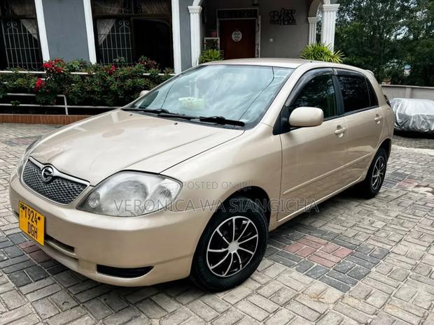 Toyota Corolla RunX 2002 Gold