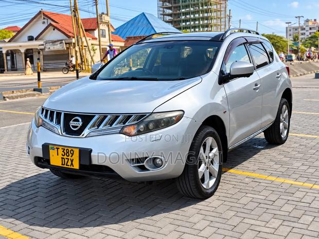 Nissan Murano 2009 Silver