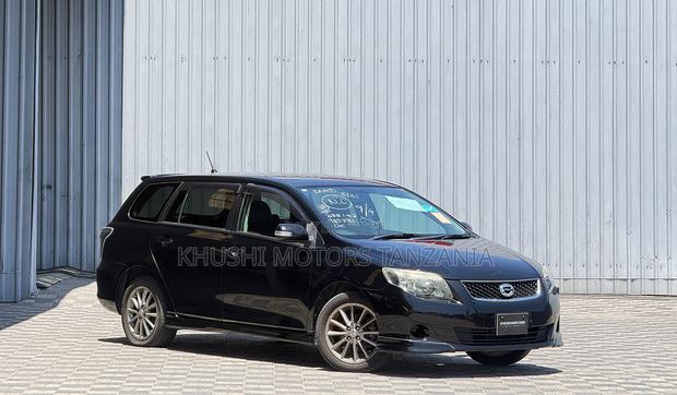 Toyota Corolla Fielder 2010 Black