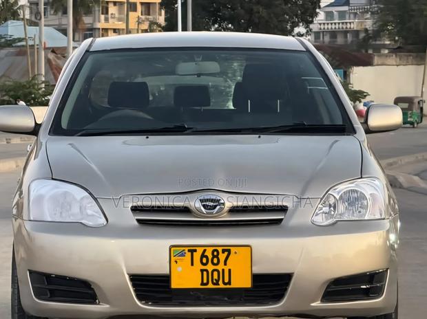 Toyota Allex 2003 Gold