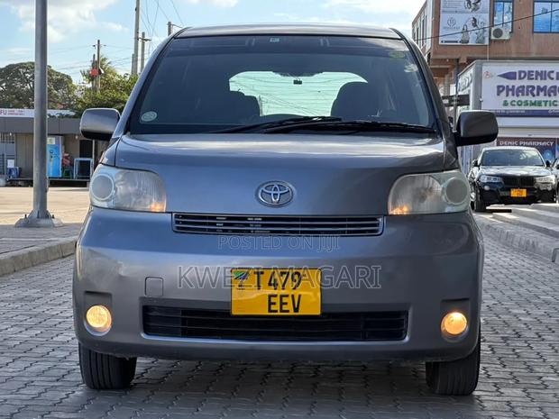 Toyota Porte 2006 Gray